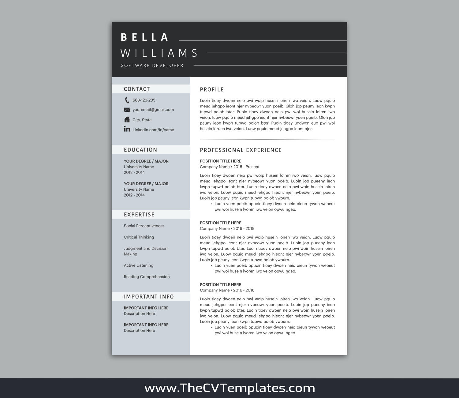 TheCVTemplates.com-resume templates for ms word