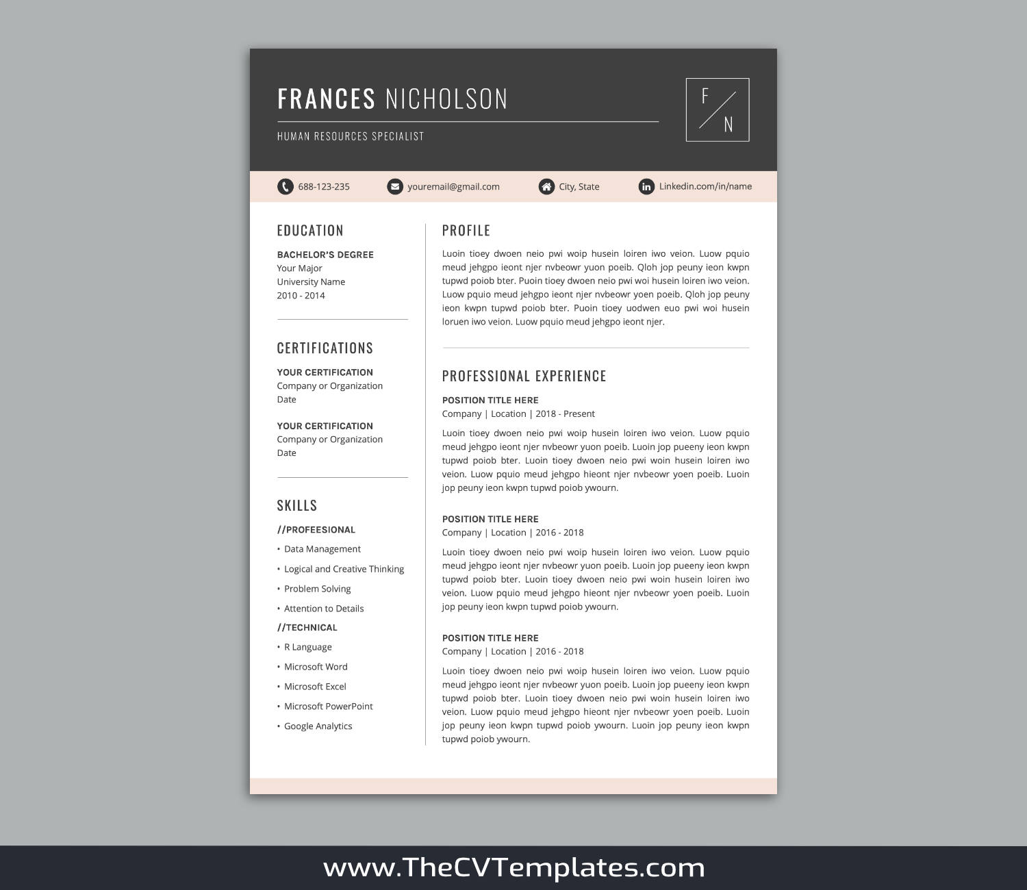 TheCVTemplates.com-resume templates for ms word