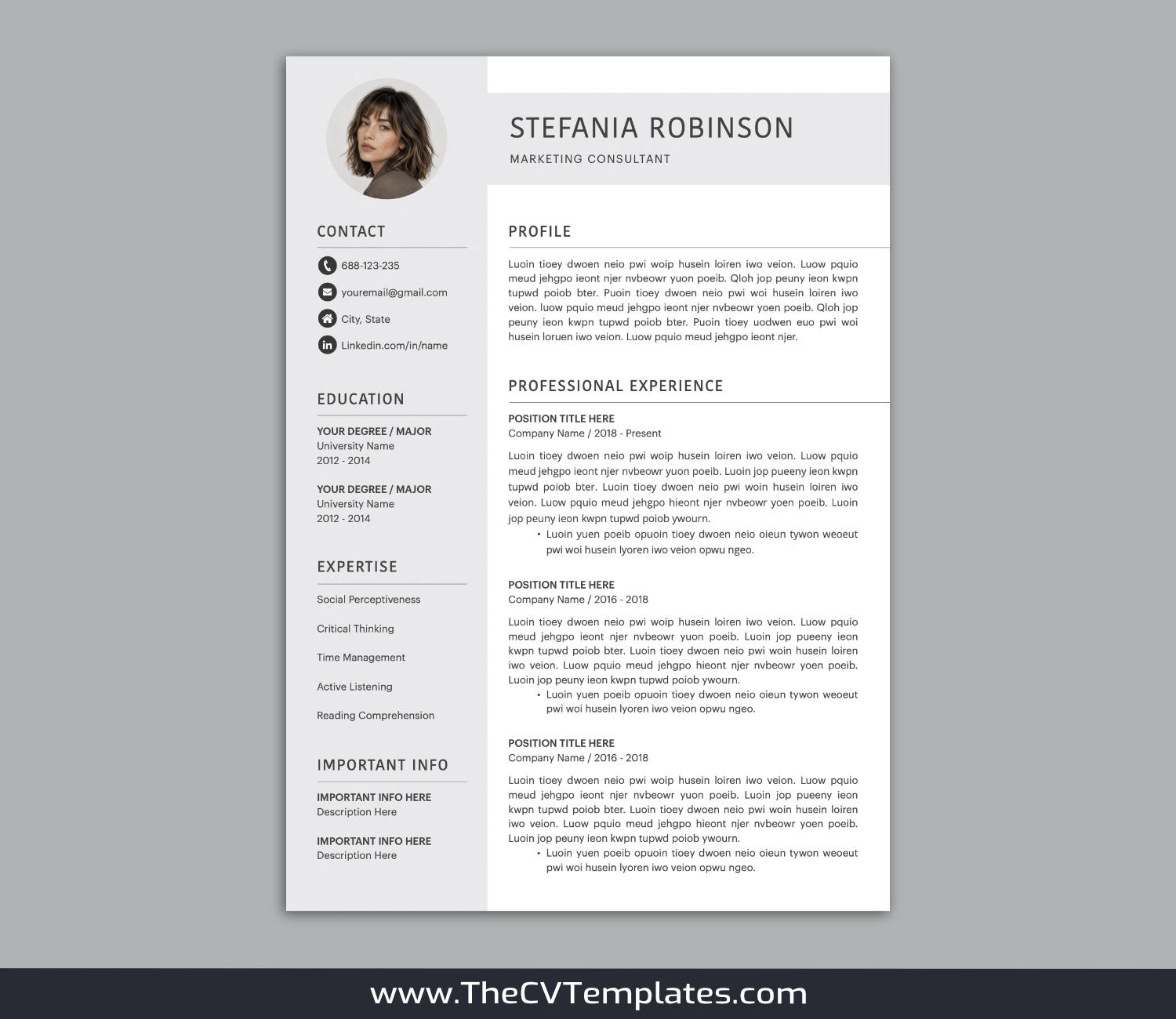 TheCVTemplates.com-resume templates for ms word