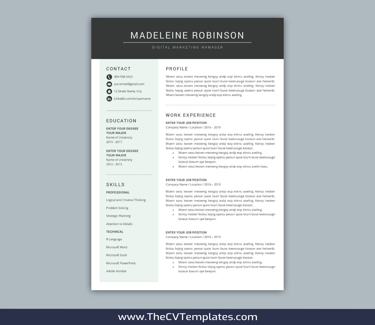 TheCVTemplates.com-resume templates for ms word
