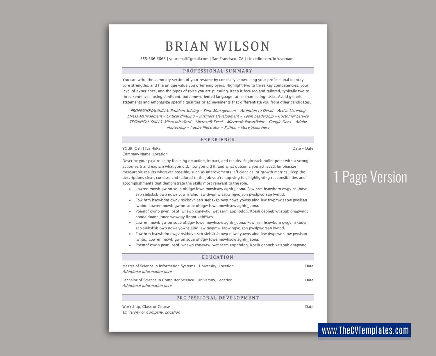 thecvtemplates.com-ATS professional resume templates
